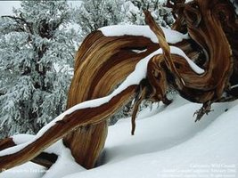 aimg241.imageshack.us_img241_1014_part016oo0.jpg
