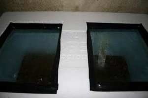 ai292.photobucket.com_albums_mm37_sahtanoj_terrario001.jpg