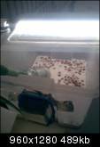 aimg74.imageshack.us_img74_7480_img015qa8.th.jpg