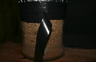 ai292.photobucket.com_albums_mm37_sahtanoj_cultivo_cultivo_007.jpg