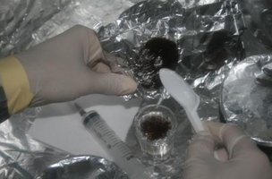 ai292.photobucket.com_albums_mm37_sahtanoj_cultivo_cultivo_025.jpg