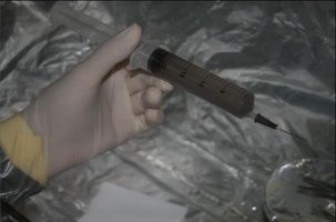 ai292.photobucket.com_albums_mm37_sahtanoj_cultivo_cultivo_028.jpg