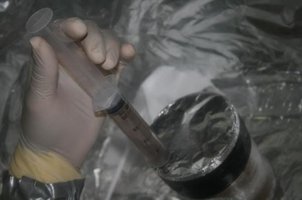 ai292.photobucket.com_albums_mm37_sahtanoj_cultivo_cultivo_030.jpg