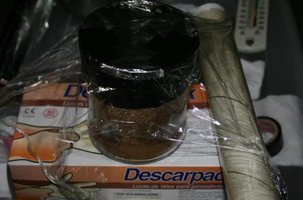 ai292.photobucket.com_albums_mm37_sahtanoj_cultivo_cultivo_031.jpg