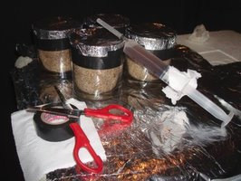 ai292.photobucket.com_albums_mm37_sahtanoj_cultivo_MPalenque0102091.jpg