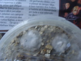 ai283.photobucket.com_albums_kk292_t3minatorPT_DSC01183.jpg