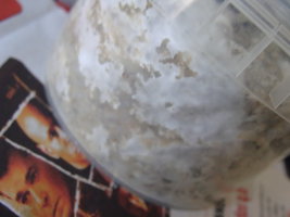 ai283.photobucket.com_albums_kk292_t3minatorPT_DSC01188.jpg
