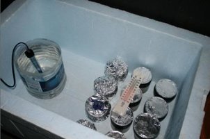 ai292.photobucket.com_albums_mm37_sahtanoj_cultivo_incubacao01.jpg