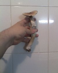 ai175.photobucket.com_albums_w146_edsam7_03_06_10_2209.jpg