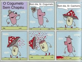 awww.mapher.com_wp_content_uploads_2009_09_cogumelos_nao_podem_ser_cordiais.jpg