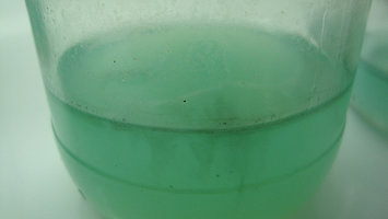 afarm5.static.flickr.com_4089_5185549142_7b712199b5.jpg