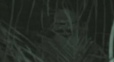 a4.bp.blogspot.com__g5hOXUbs3vM_TPemh2p_g6I_AAAAAAAACfg_XDL7Q0um1rw_s1600_et_bilu.jpg