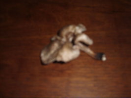 aimg94.imageshack.us_img94_9088_tipo22.jpg