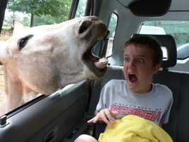 a2.bp.blogspot.com__C9UBe4eG41Q_TNlpWRYkUvI_AAAAAAAAA_U_H9X2UadYdnE_s1600_tenso1.jpg