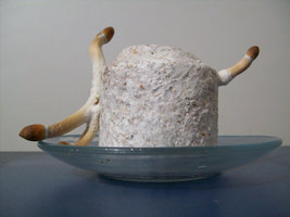 alh6.ggpht.com__e_GVq5E9C3Y_TT_EJzZ7GsI_AAAAAAAABEU_Vc0htHt8tkM_s800_cogus_20006.JPG