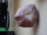 aimg1.orkut.com_images_milieu_1_1296137972397_410954489_of_Zvgfe4ab7fcf72c034ccae81e44b9919672.jpg
