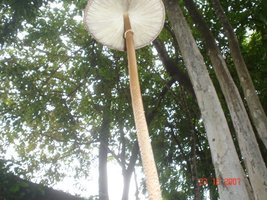 aimages.orkut.com_orkut_photos_OgAAAIt8FhrmF_mSzRUUykOzzTaiXw90f46817c56cbb690cf5629d47ee65547.jpg