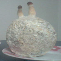 alh5.googleusercontent.com__e_GVq5E9C3Y_TWGIboP5ldI_AAAAAAAABHg_Qe5oG4Qs6rM_s400_cogu_2002.jpg