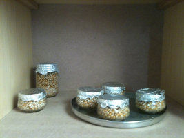 afarm4.static.flickr.com_3064_5817765791_fcb9ce97dc_b.jpg