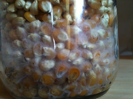 afarm4.static.flickr.com_3535_5818335334_b72e76c492_b.jpg