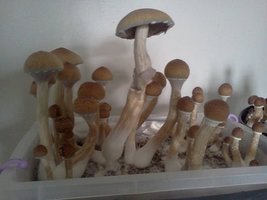 alh3.googleusercontent.com__Fq6r_VzIcBo_TnY_TNso_aI_AAAAAAAACA7ce5c03178413f662fcf3e3a7cb1f3fa.jpg