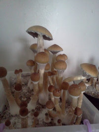 alh5.googleusercontent.com__ZzYNFUczpgM_TnY_TR6dSbI_AAAAAAAACAd82b46798d36b2104990f781efe4d40c.jpg