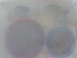 2013-09-25 15.25.15.jpg