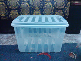 alh6.googleusercontent.com__CBcpCvc9O9U_TvZX_oBpomI_AAAAAAAACIc3a321900e90da307f2fe7cae7a04552.jpg
