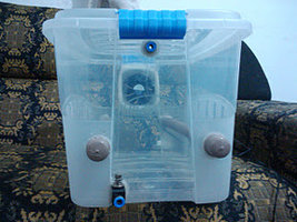 alh6.googleusercontent.com__oFMXccDH_eA_TvZaMWNaNkI_AAAAAAAACL0ecd82ad37b988a94a54b3fb4ef0be14.jpg