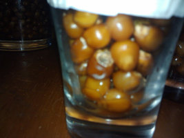 alh4.googleusercontent.com__QpKdMQuIpts_TwZGvTF4aSI_AAAAAAAACS04a1a40bc68ba0eb37b0911a05dd23b6.jpg
