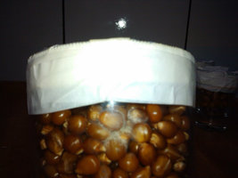 alh6.googleusercontent.com__3g1qvA_JRAU_TwjzSAoJeaI_AAAAAAAACW5c18c6816c2489e76498c4e367d31f36.jpg