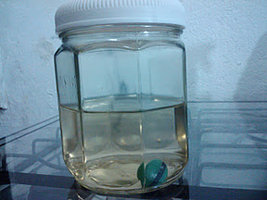 alh6.googleusercontent.com__SAlQIuum2gg_TyMvIFaeIxI_AAAAAAAAC1dfbc51bd3b290eddbb72e6ac1341b5a7.jpg