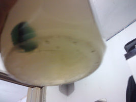 alh3.googleusercontent.com__4GHQEMSDP_4_TzMDDfKuoTI_AAAAAAAAC76a44a5e117d06d4d5db961c5747f4667.jpg