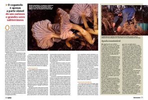 awww.superinteressante.pt_images_stories_si153_si153_3031.jpg