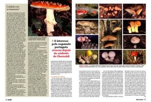 awww.superinteressante.pt_images_stories_si153_si153_3233.jpg