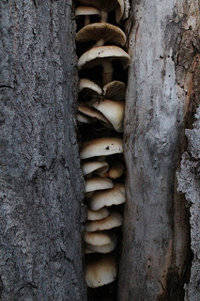 a3.bp.blogspot.com__WCetSnSV6yM_Ts10gZbnTwI_AAAAAAAAALY_KMDynV3378a1489d6c53377e744c96c361a587.jpg