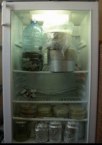 awww.shroomery.org_images_25150_754882384_6843.jpg