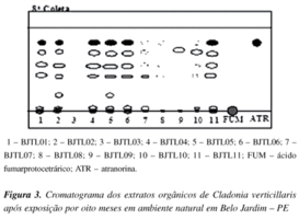 awww.scielo.br_img_revistas_qn_v30n5_a04fig03.gif