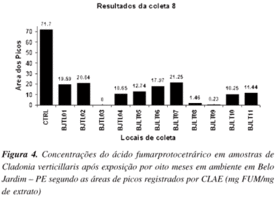 awww.scielo.br_img_revistas_qn_v30n5_a04fig04.gif
