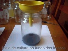 awww.aorquidea.com.br_foto0178.jpg