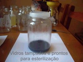awww.aorquidea.com.br_foto0179.jpg