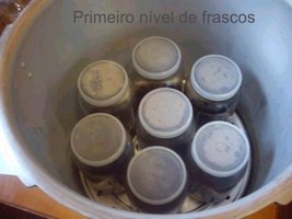 awww.aorquidea.com.br_foto0181.jpg