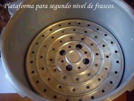 awww.aorquidea.com.br_foto0182.jpg