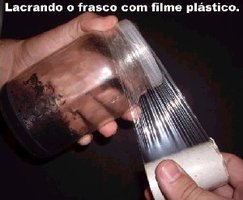 awww.aorquidea.com.br_foto0185.jpg