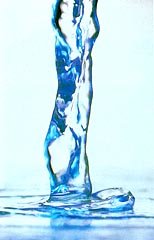 awww.agua.bio.br_foto_botao_5b.jpg