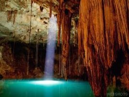 awww.agua.bio.br_foto_botao_8b.jpg