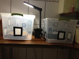 2013-09-26 18.08.49.jpg
