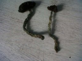 aimage.bayimg.com_08cc0a8655c2a6efdbcc886222a9e151fb909855.jpg