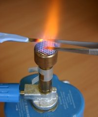 amushplanet.com_sites_mushplanet_files_images_sterile_scalpinc.jpg