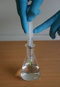 amushplanet.com_sites_mushplanet_files_images_fillsyringe.jpg